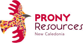 PRONY logo